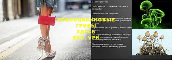 ALPHA-PVP Алексеевка
