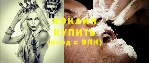 PSILOCYBIN Аркадак