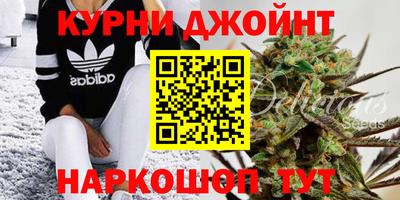 индика Славгород