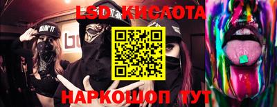 индика Славгород