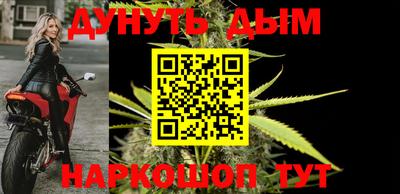 индика Славгород