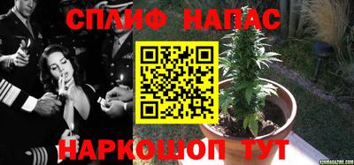 марки lsd Сланцы