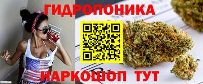марки lsd Сланцы