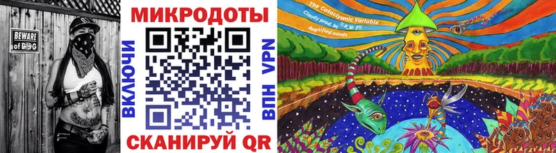 Галлюциногенные грибы Cubensis  цена наркотик  Петрозаводск 