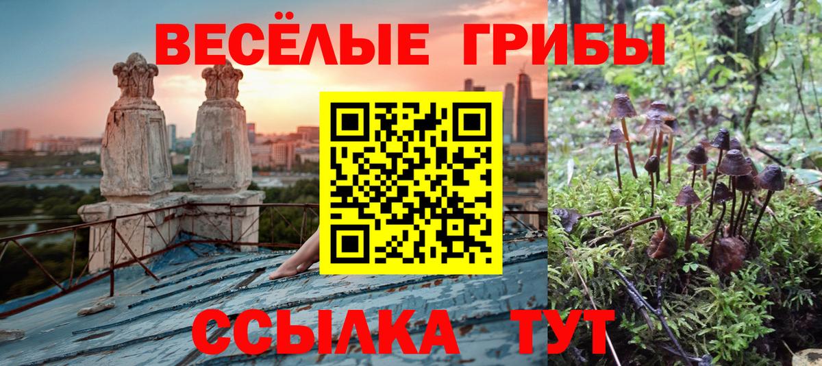 Галлюциногенные грибы мухоморы  Вход с VPN  Псилоцибиновые грибы Psilocybe  Петрозаводск 