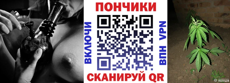 сколько стоит  Петрозаводск  Марихуана сатива 